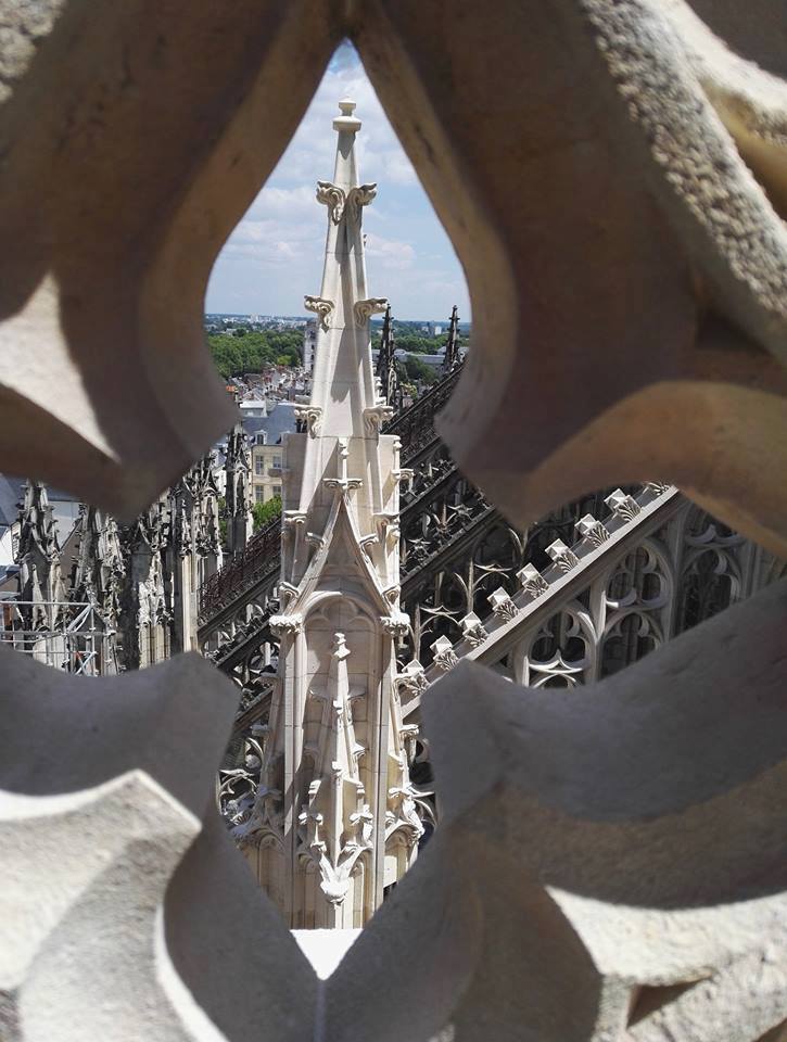 Cathédrale Sainte-Croix à Orléans restauration Carrières Sauvanet